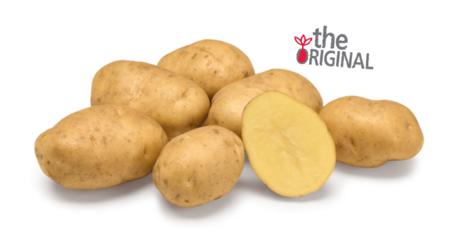 Aardappelras Sinora Agrico Originals