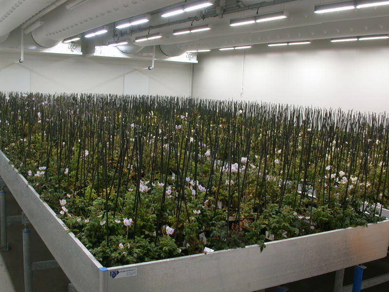 Klimaatcel Bpl I