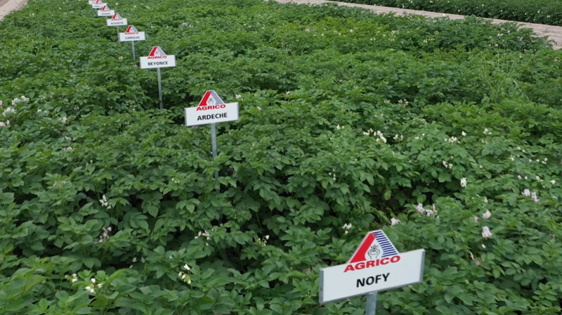 Next Generation potatoes field trial signs