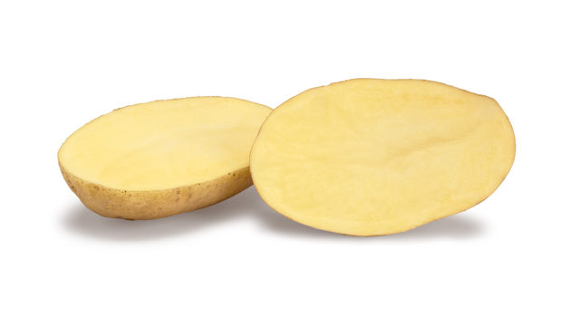 Pootaardappelras Twinner