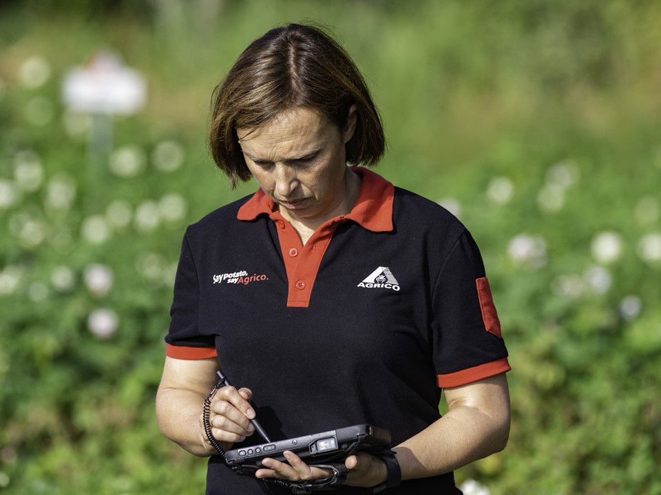 Klaas Eissens Agrico Rs 25 07 19 Phyt Rooien 1Ej Zaden Tellen Am Lab 4