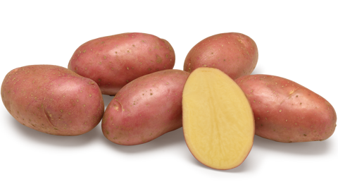 Esmee nestje met doorsnee