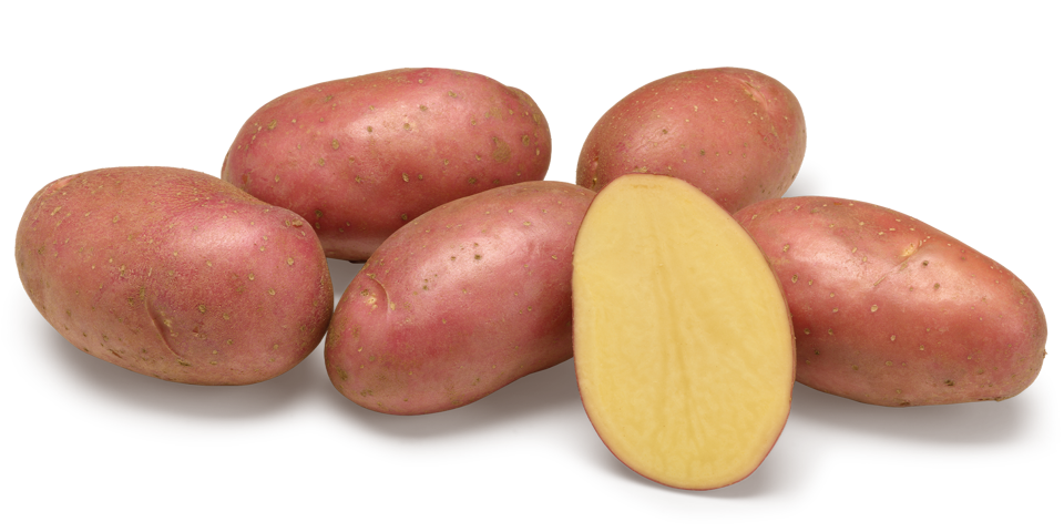 Esmee nestje met doorsnee