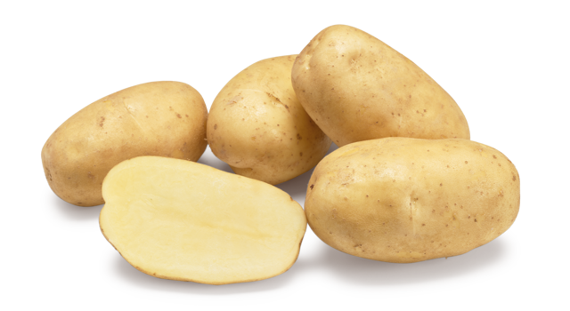 Aardappelras Lugano