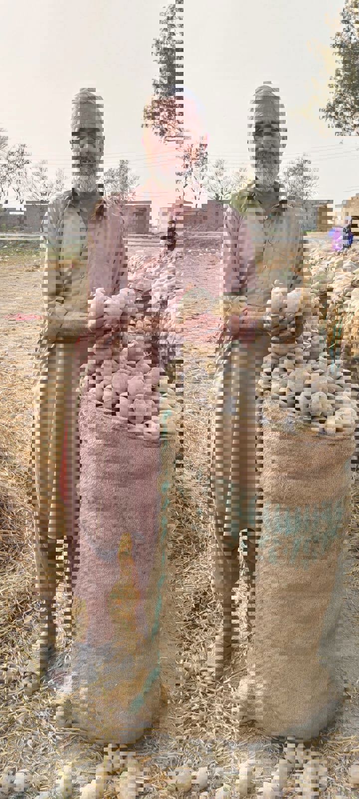 The growing potato markets in Pakistan Agrico