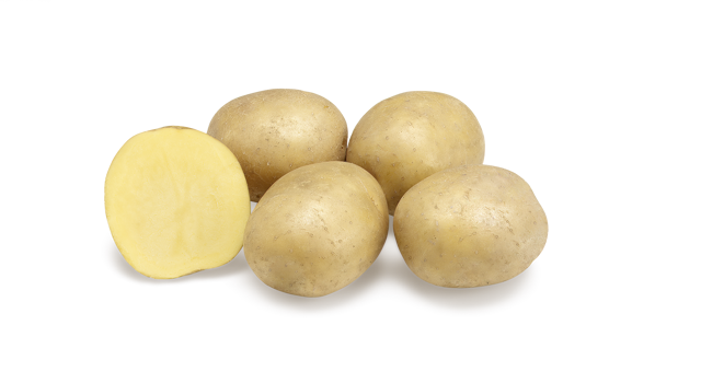 LR Chester GRB CL©Agrico20 (1)