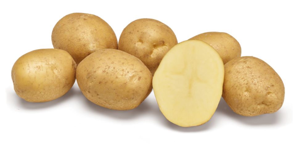 Aardappelras Napoleon