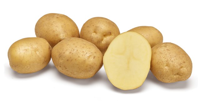 Aardappelras Napoleon