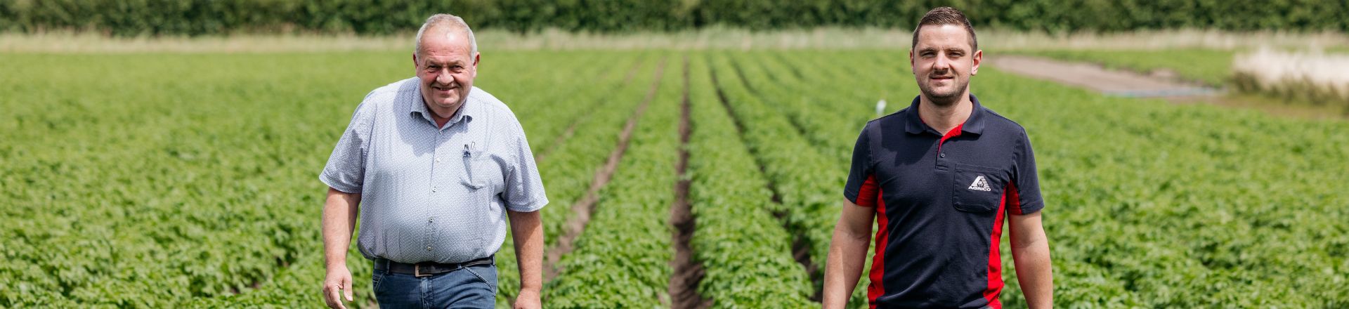 Gommeren growers in potato field