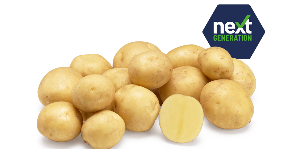 Next Generation Jacky