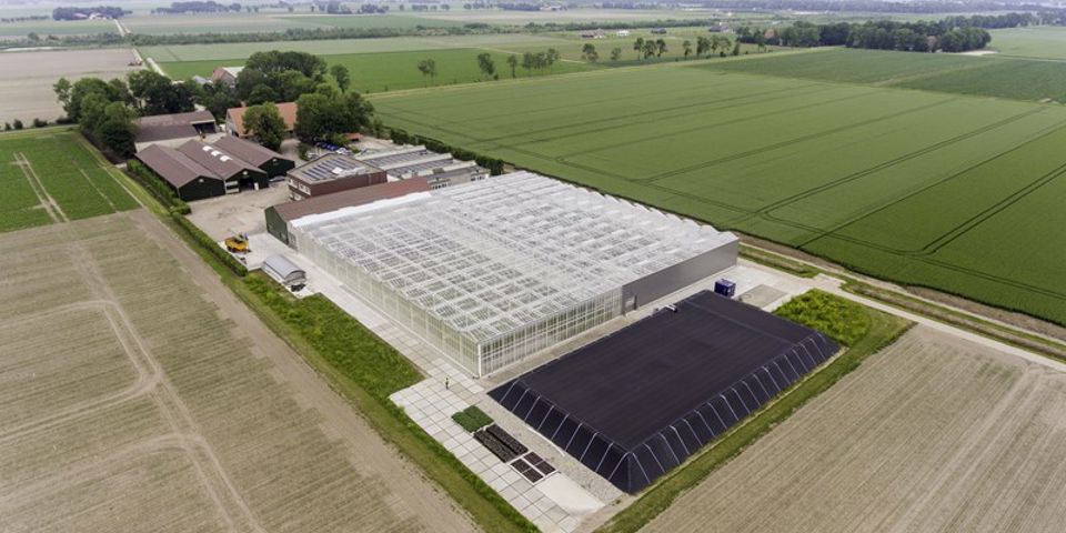 Klaas Eissens Agrico Rs Blaadjes Kloontjes Stekken 12 06 19 7