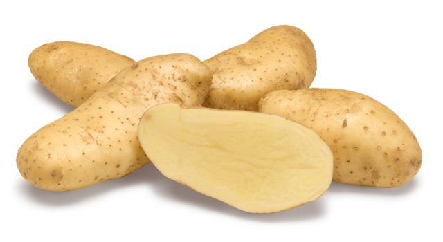 Aardappelras Spunta