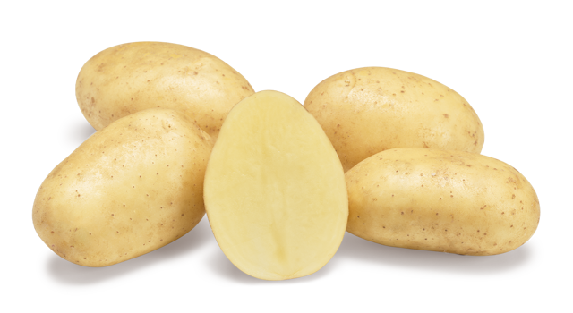 Aardappelras Paradiso