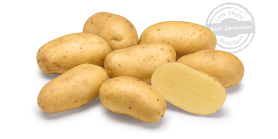 Ontwerp Zonder Titel 2025 06 18T133933.498