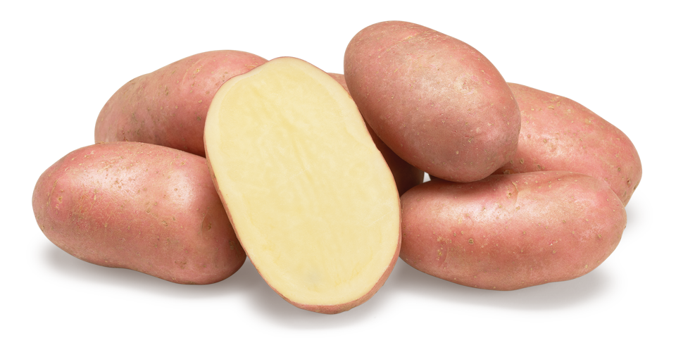 Corazon nestje met doorsnee