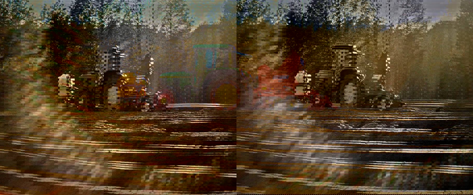 184002137 3951760614892666 3421347549947891252 N