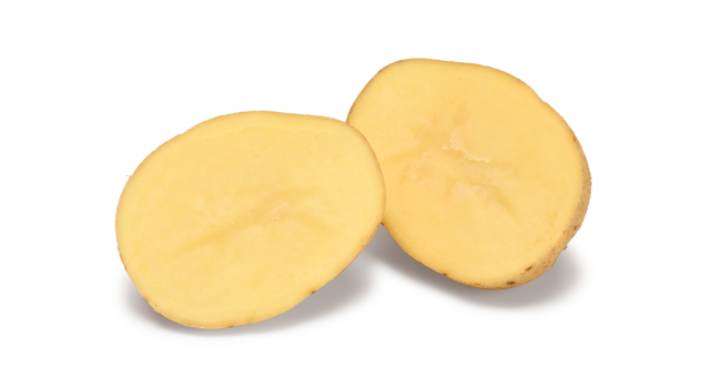 Pootaardappelras Sinora