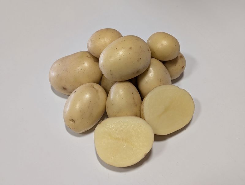 Parkland Potato Almera