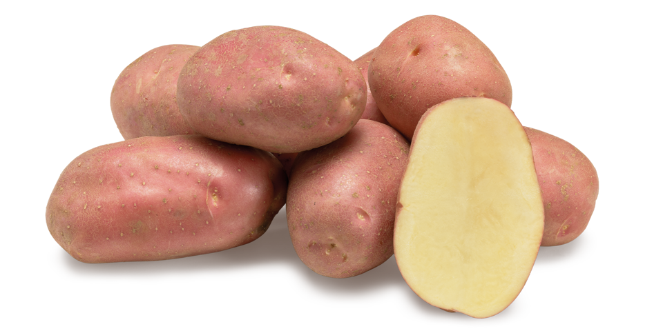 Kuroda nestje met doorsnee