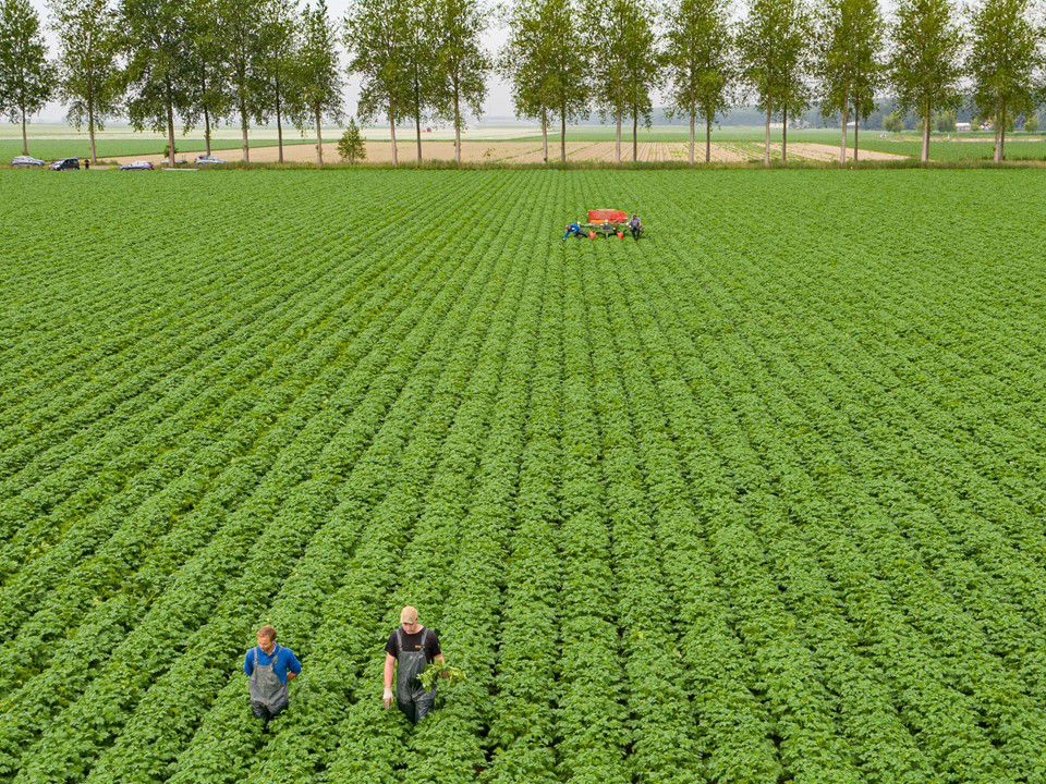 Klaas Eissens Av Producties Agrico Smits Selectie Fontane 17 06 20 2 (1)