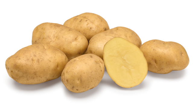 Sinora nestje met doorsnee