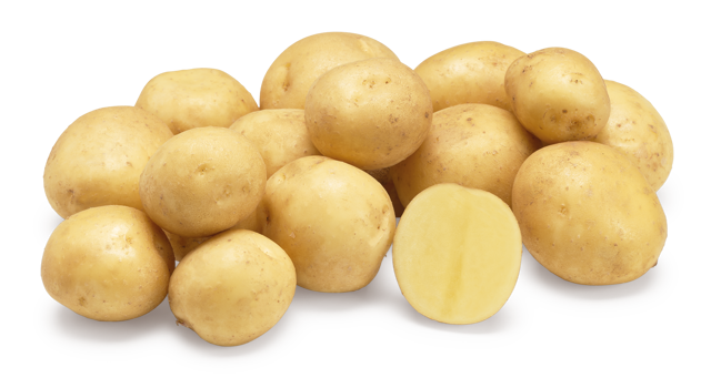 Websitefoto's HR Jacky GRB CL©Agrico20