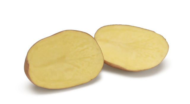 Pootaardappelras Melrose
