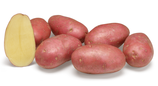 Websitefoto's HR Alouette GRB CL©Agrico20