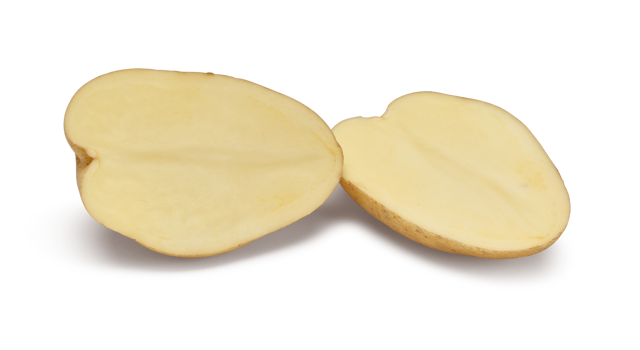 Diamant SNG CL®Agrico20