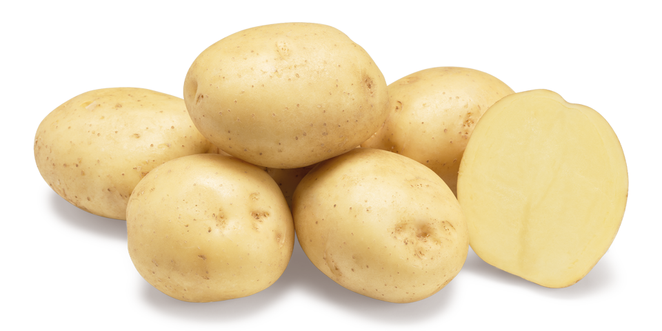 Riviera nestje met doorsnee