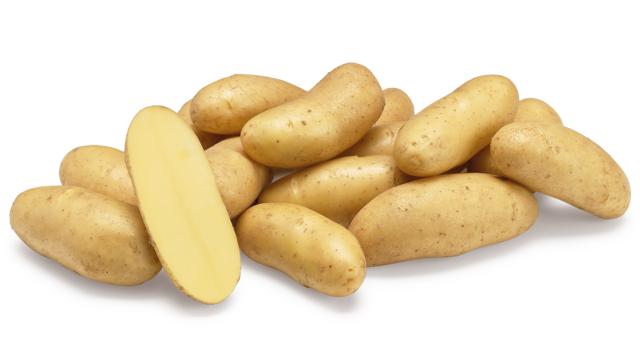 Websitefoto's HR Bellanita GRB CL©Agrico20