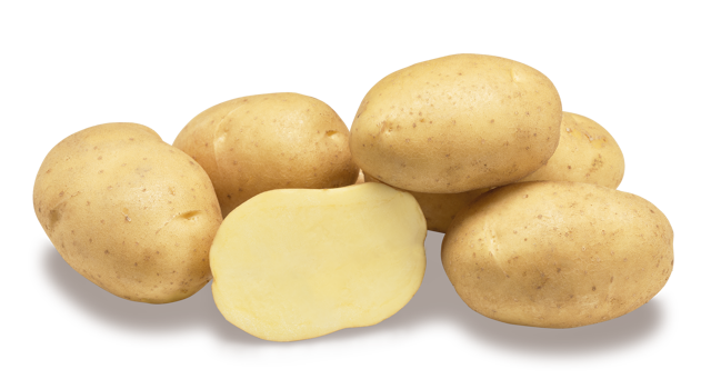 Palace nestje met doorsnee