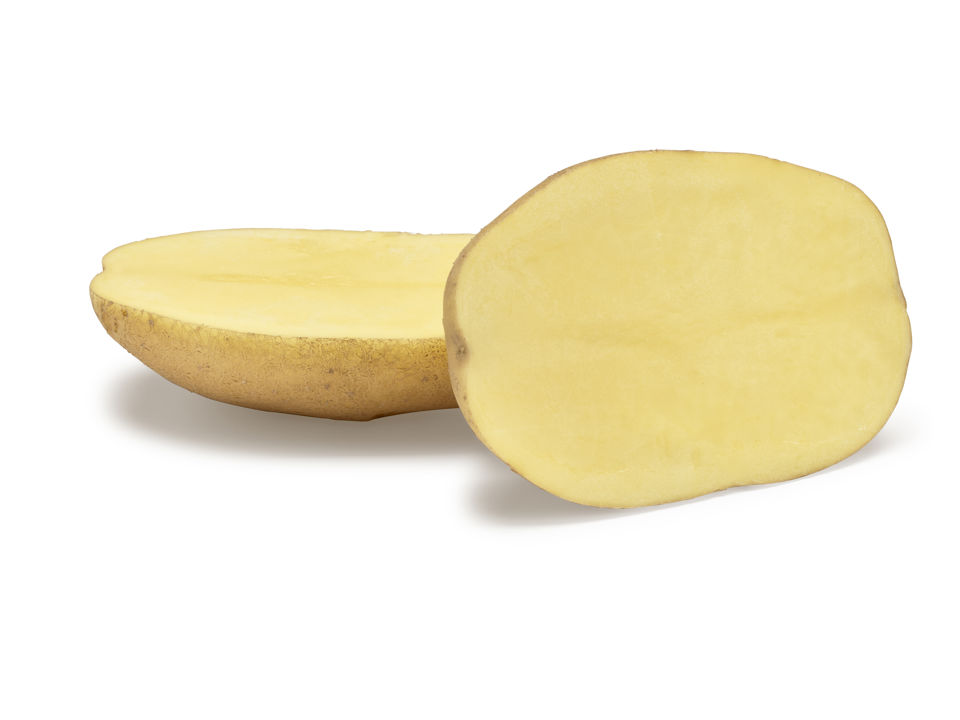 Agria SNG CL®Agrico20