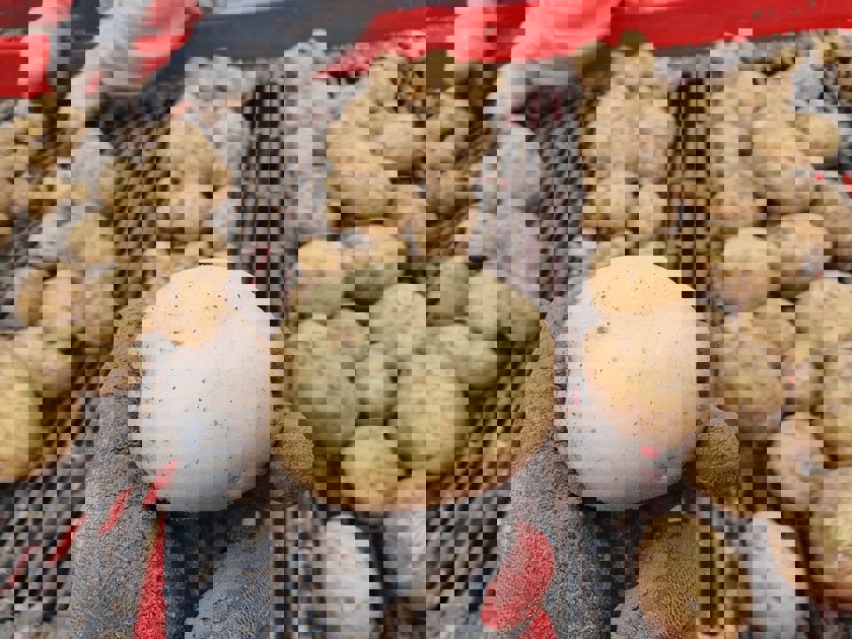 125765098 3472844686117597 216954452552633809 N