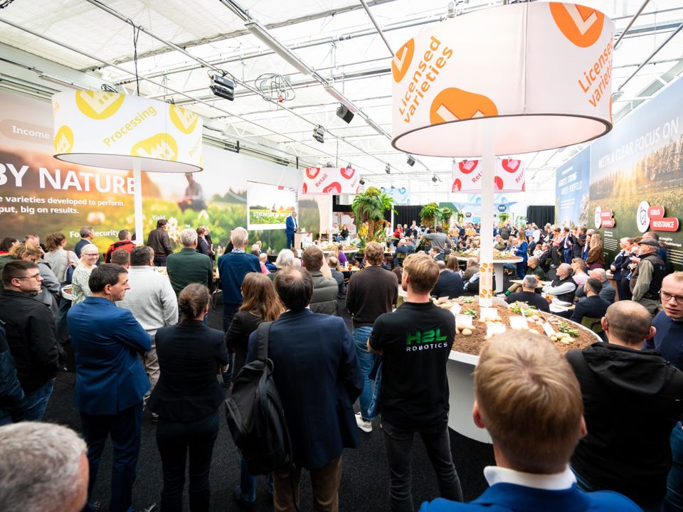 New Potato Varieties 2025