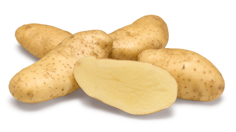 Spunta nestjes met doorsnee