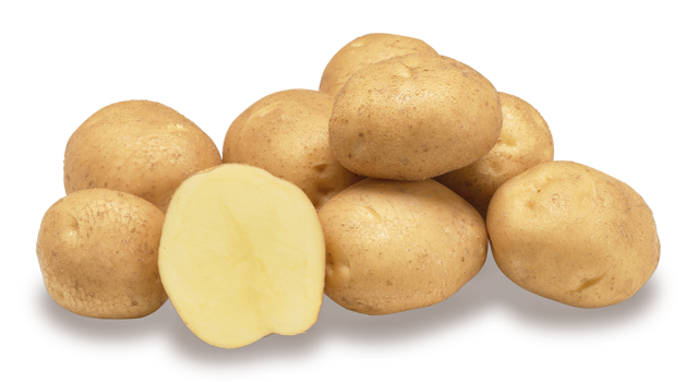 Websitefoto's HR Nofy GRB CL©Agrico20