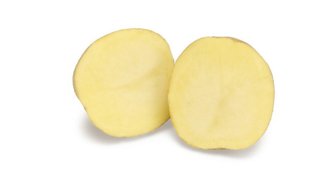 LR Chester SNG CL©Agrico