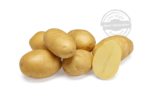 Twinner GRB CL©Agrico20 Met Stempel800x448