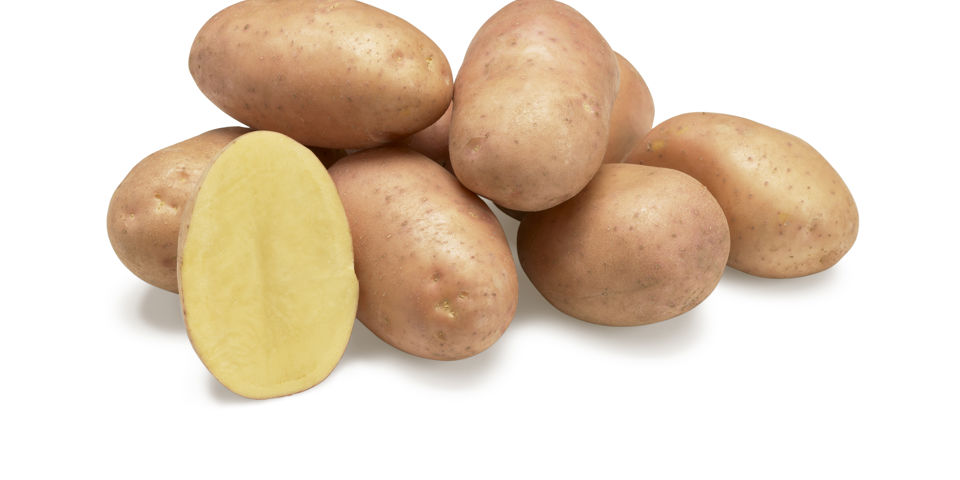 Melrose GRB CL©Agrico20