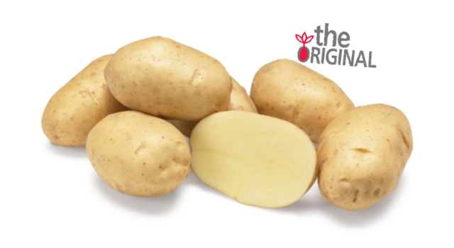 Aardappelras Markies Agrico Originals