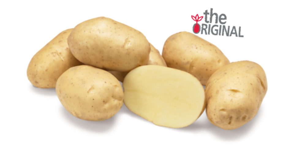 Aardappelras Markies Agrico Originals