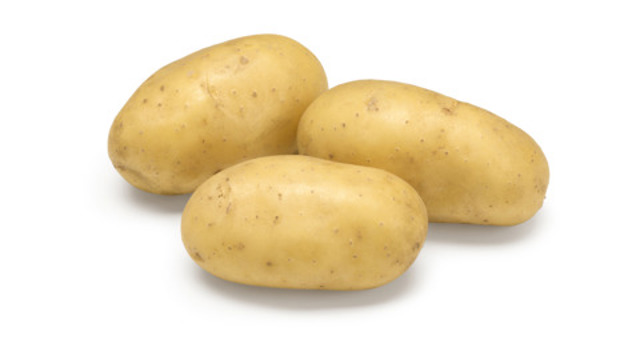 Aardappelras Leonore