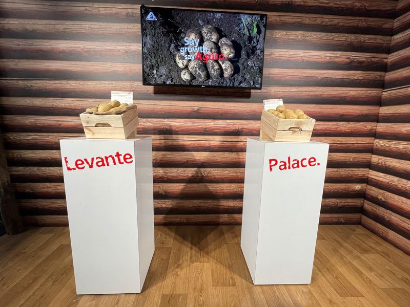 Spotlight Levante En Palace Met Agrico
