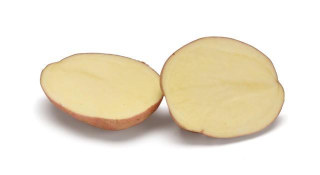 Websitefoto's HR Kuroda SNG CL©Agrico20