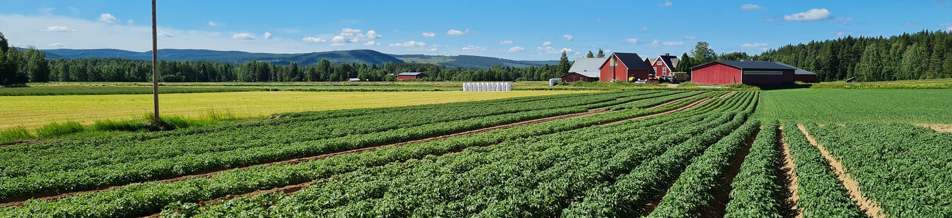 Agrico Nordics Sweden