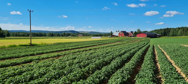 Agrico Nordics Sweden