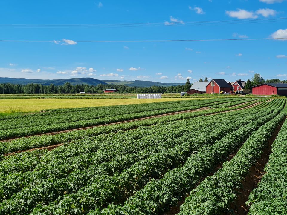 Agrico Nordics Sweden