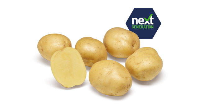 Next Generation Twister