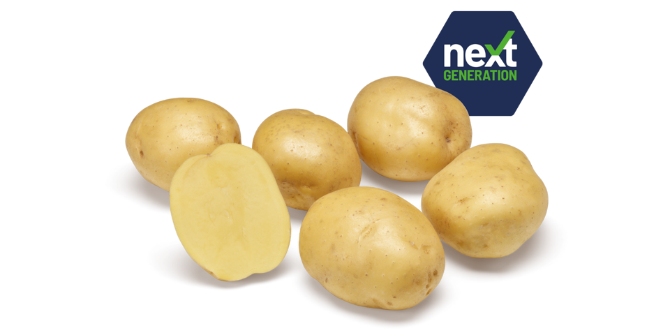 Next Generation Twister